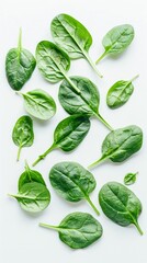 Pile of fresh green baby spinach leaves isolated on white background. Close up. Flat lay. Food concept. Macro concept 