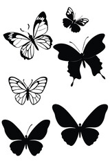 Obraz premium set of butterfly silhouette vector design