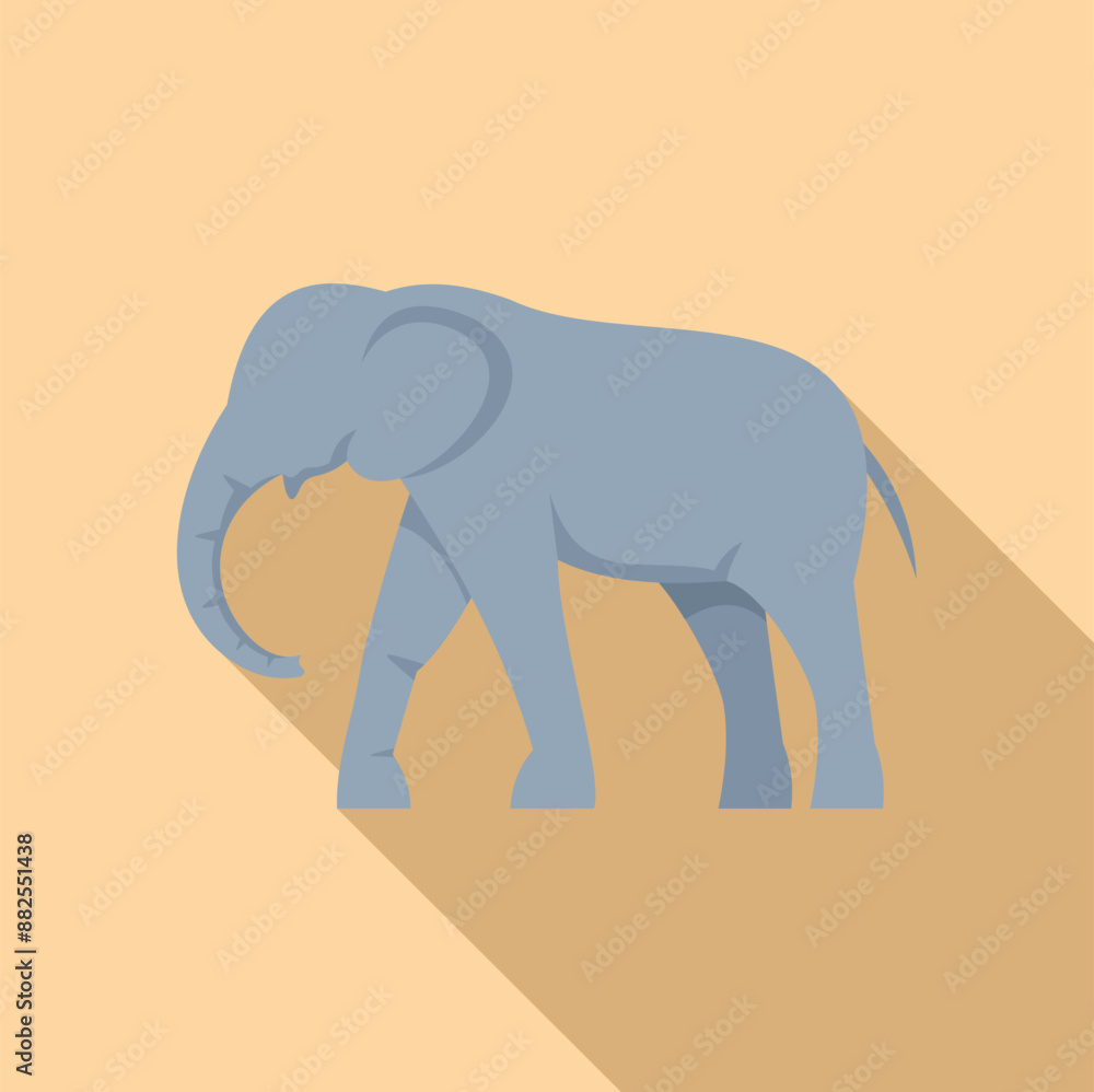 Poster big grey elephant walking with its trunk down in a side view profile