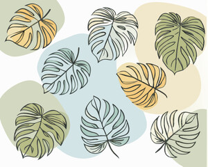 cute monstera