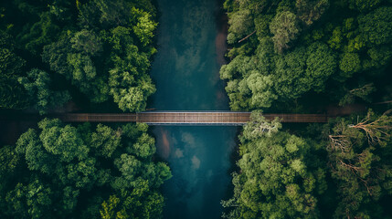 aerial view of a bridge over a river