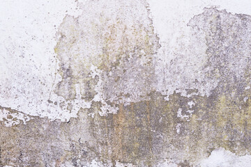 Old cement wall with crack monochrome background