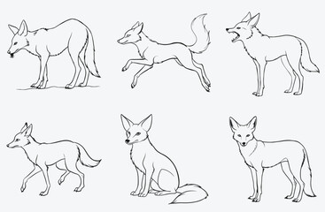 Jackal Cline Line Art Mega Collection