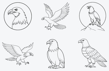 Majestic Eagle Line Art Set Vector, Stunning, Detailed, and Versatile Designs for All Your Creative Projects
