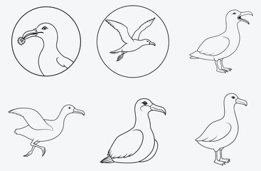 Exquisite Albatross Line Art Vector Collection