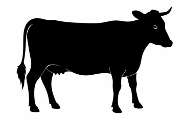 

cow silhouette, cow line art vector illustration, Collection of black cow design


