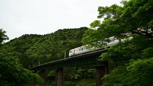 第一飛騨川橋梁を渡るHC85系特急ひだ（高山本線 白川口 - 下油井, 2024年5月）