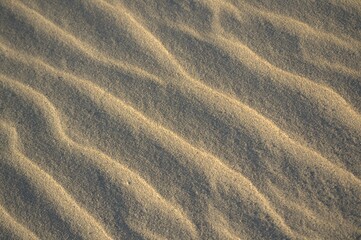 Los medanos de Coro son dunas de arena que movidas por los fuertes vientos de la peninsula toman formas muy caracteristicas.