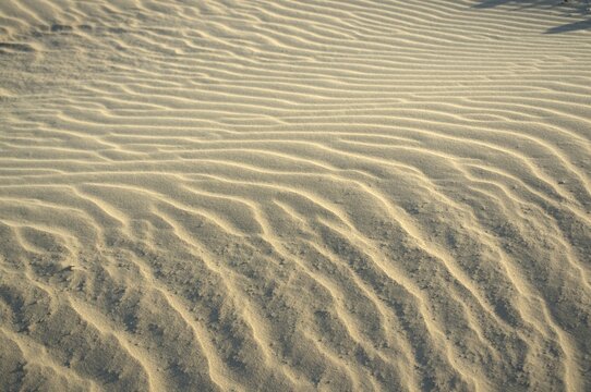 Los medanos de Coro son dunas de arena que movidas por los fuertes vientos de la peninsula toman formas muy caracteristicas.