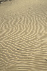 Los medanos de Coro son dunas de arena que movidas por los fuertes vientos de la peninsula toman formas muy caracteristicas.
