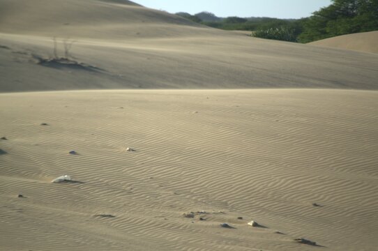 Los medanos de Coro son dunas de arena que movidas por los fuertes vientos de la peninsula toman formas muy caracteristicas.