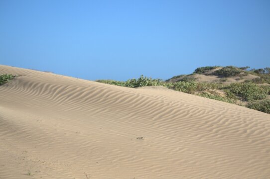 Los medanos de Coro son dunas de arena que movidas por los fuertes vientos de la peninsula toman formas muy caracteristicas.