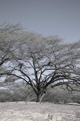 Hay excelentes vias de comunicacion,casi siempre desiertas,nos permite apreciar un paisaje generalmente arido,y de escasez de lluvias.