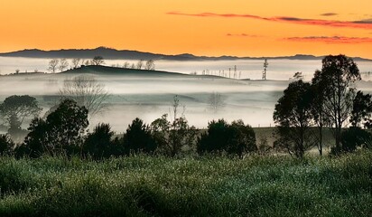 Beautiful misty morning 