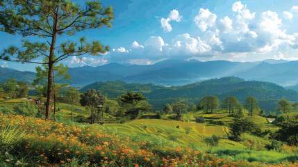 Obraz premium The serene Huay Nam Dang National Park, with its picturesque landscapes of pine forests and flowering gardens