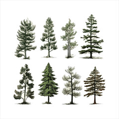 Deodar Cedar A Collection of Modern Illustrations of Trees Generative AI