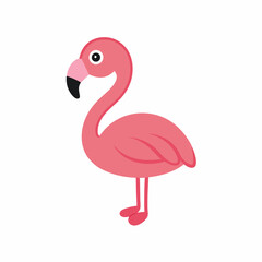 Pink flamingo isolated on white background