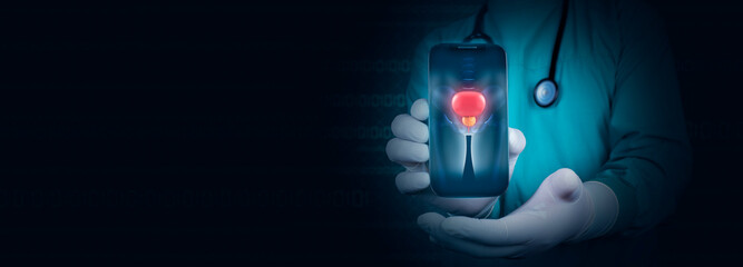 The doctor shows the prostate, through his cell phone, telemedicine concept. Prostate Exam Awareness