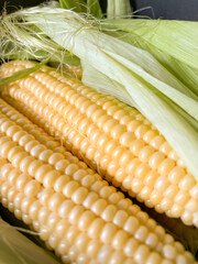 Young corn close-up. Yellow corn kernels nearby on the cob. Cooking corn.