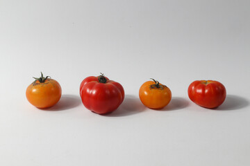 tomato isolated in white background