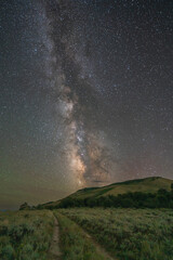 A star filled sky hangs over a beautiful scene in the Pacific Northwest