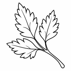 A  Leaf Icon Nature Organic Vector Line Art Illustration