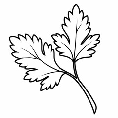 A  Leaf Icon Nature Organic Vector Line Art Illustration
