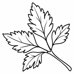 A  Leaf Icon Nature Organic Vector Line Art Illustration