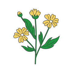 flower illustration