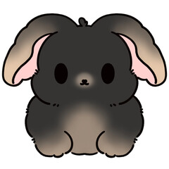 Bunny