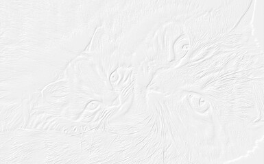 embossed image of cats