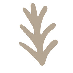 Obraz premium Boho Floral Element Cute