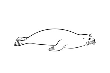 Obraz premium だらしないポーズで寝転ぶアザラシの手描きイラスト 白背景の切り抜き