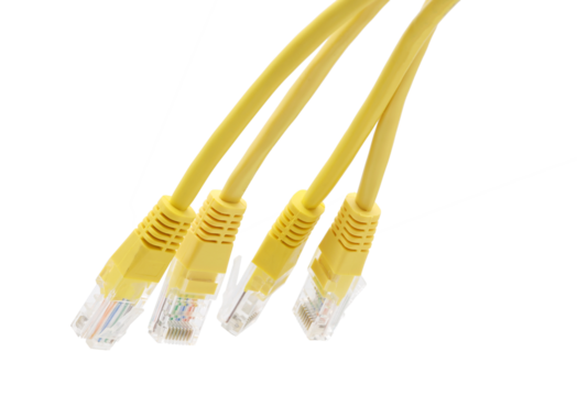 Yellow network cables with molded RJ45 plug on transparent background (PNG File)
