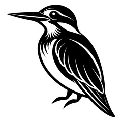 A Kingfisher Silhouette Vector illustration isolated on white