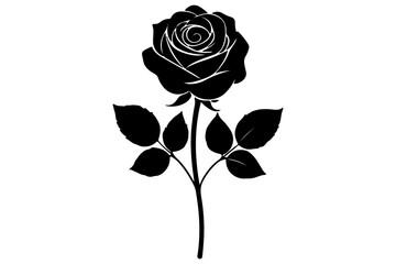 rose silhouette vector illustration