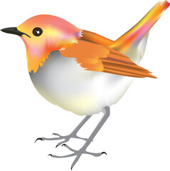 A bird with colorful feathers, Japanese robin