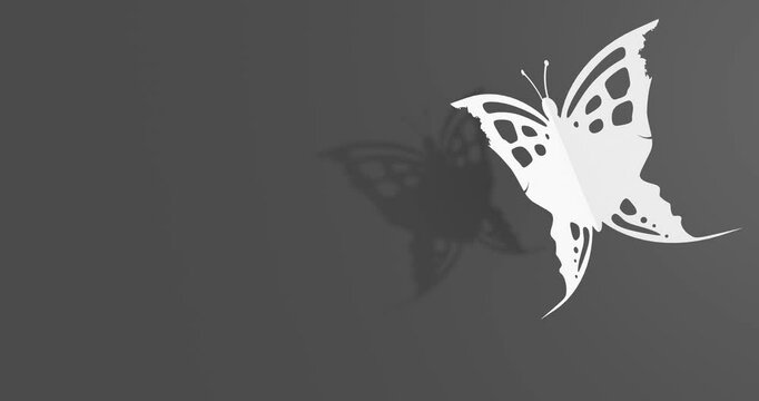 Two human heads make silhouette of flying insect. Paper cutout optical illusion. A butterfly or two face profile view.