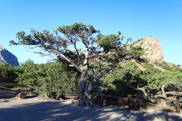 Beautiful summer mountain landscape with blue sky