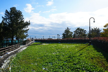 cozy seaside view with walkway