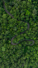 Aerial view asphalt road on green forest, Curve asphalt road on mountain green forest, Countryside...
