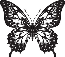 Butterfly silhouette. butterfly black and white silhouette