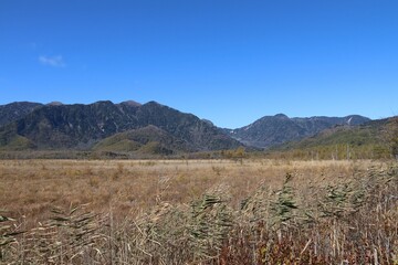 秋の日光の風景。戦場ヶ原。