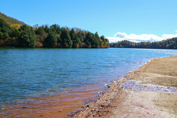 秋の日光の風景。湯の湖。黄葉する岸辺の森。