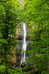 流れの速い細い滝