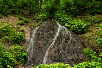 いくつもの筋で流れる山の上流からの水