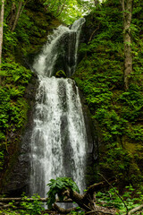 上流から激しく流れ落ちる滝