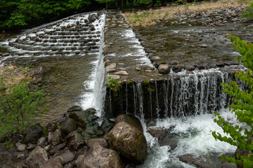 山の上流から流れる水