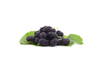 A mulberry with leaves.