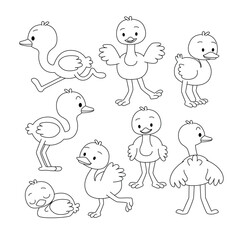 Set of Ostrich doodle collection, Ostrich outline coloring page or book animals for kindergarten, Vector line art set of animals wildlife, Hand drawn, Minimal Ostrich line art doodle in different pose